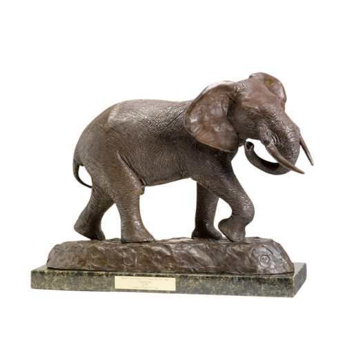 17